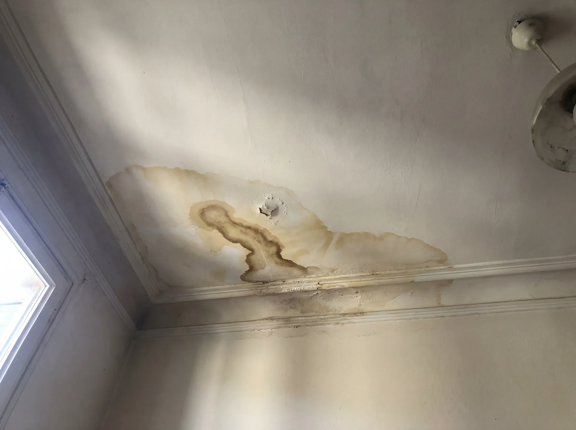 Water stain on ceiling